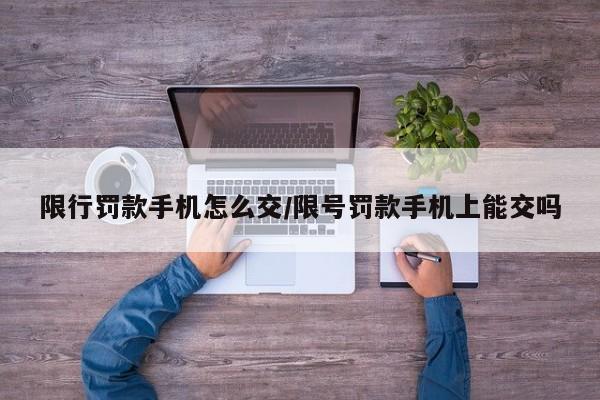 限行罚款手机怎么交/限号罚款手机上能交吗