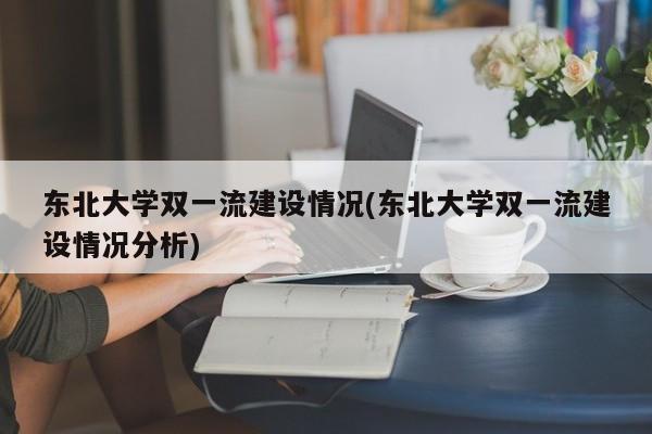 东北大学双一流建设情况(东北大学双一流建设情况分析)