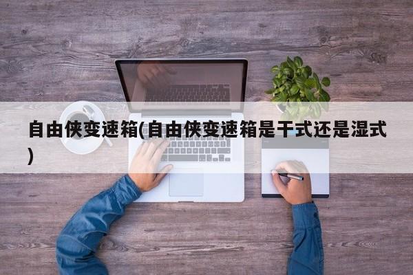 自由侠变速箱(自由侠变速箱是干式还是湿式)