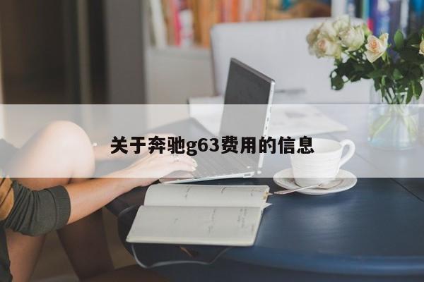 关于奔驰g63费用的信息