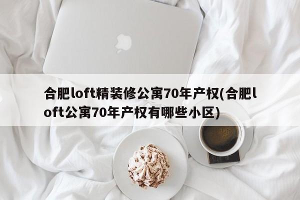 合肥loft精装修公寓70年产权(合肥loft公寓70年产权有哪些小区)