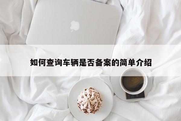 如何查询车辆是否备案的简单介绍