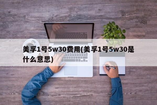美孚1号5w30费用(美孚1号5w30是什么意思)