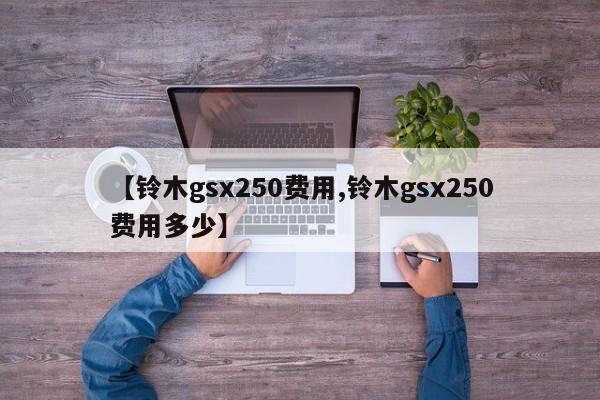 【铃木gsx250费用,铃木gsx250费用多少】