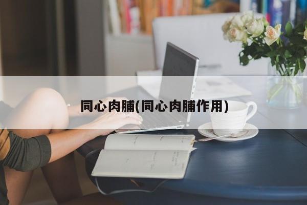 同心肉脯(同心肉脯作用)