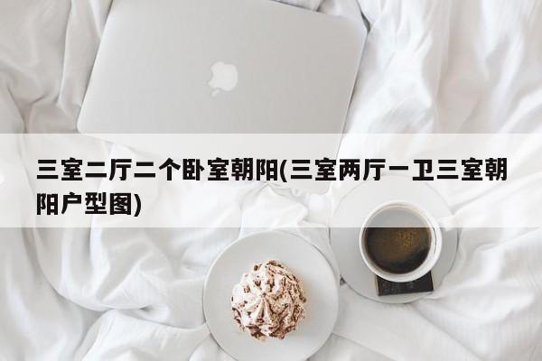 三室二厅二个卧室朝阳(三室两厅一卫三室朝阳户型图)