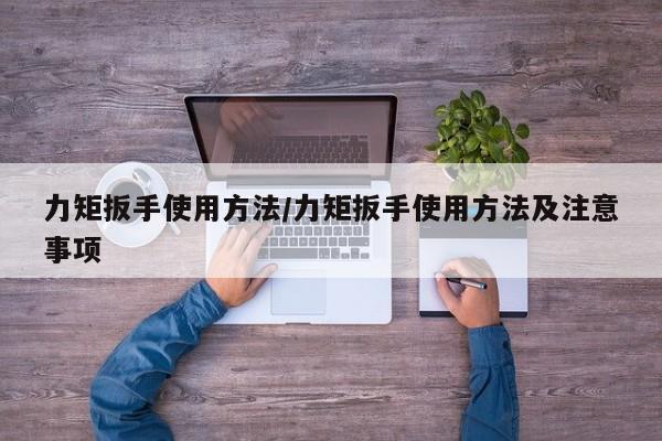力矩扳手使用方法/力矩扳手使用方法及注意事项