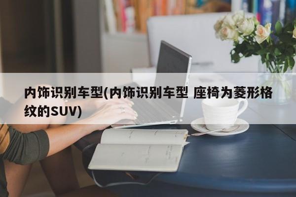 内饰识别车型(内饰识别车型 座椅为菱形格纹的SUV)