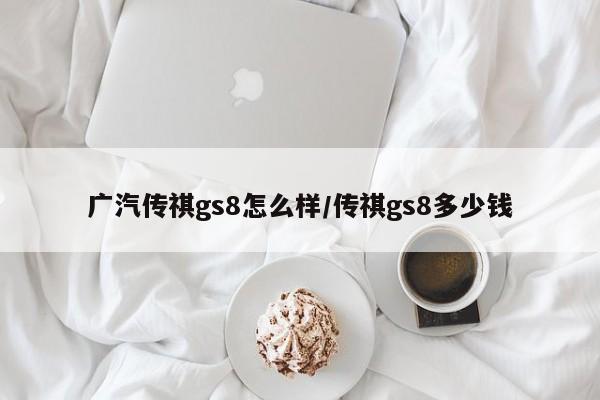 广汽传祺gs8怎么样/传祺gs8多少钱