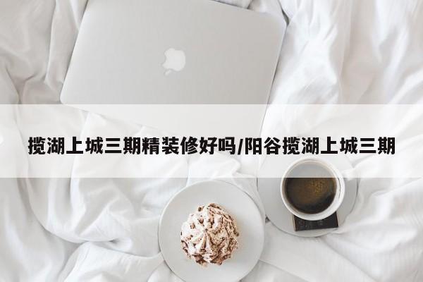 揽湖上城三期精装修好吗/阳谷揽湖上城三期
