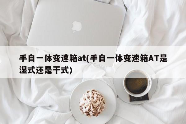 手自一体变速箱at(手自一体变速箱AT是湿式还是干式)