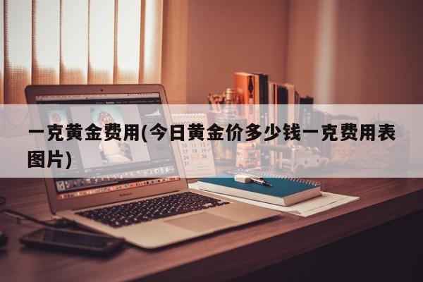 一克黄金费用(今日黄金价多少钱一克费用表图片)