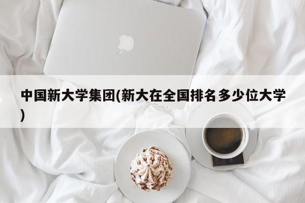 中国新大学集团(新大在全国排名多少位大学)