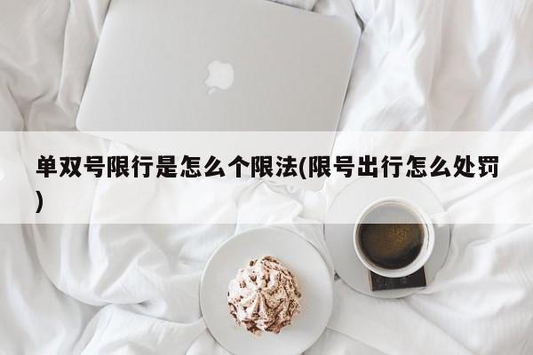 单双号限行是怎么个限法(限号出行怎么处罚)