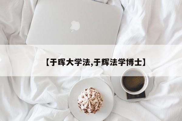 【于晖大学法,于辉法学博士】