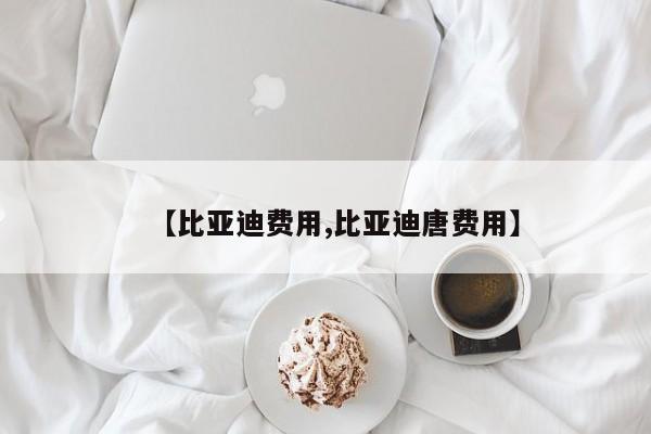 【比亚迪费用,比亚迪唐费用】