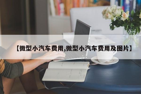 【微型小汽车费用,微型小汽车费用及图片】