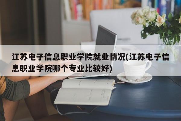 江苏电子信息职业学院就业情况(江苏电子信息职业学院哪个专业比较好)