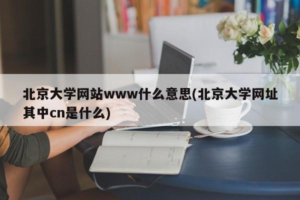 北京大学网站www什么意思(北京大学网址其中cn是什么)