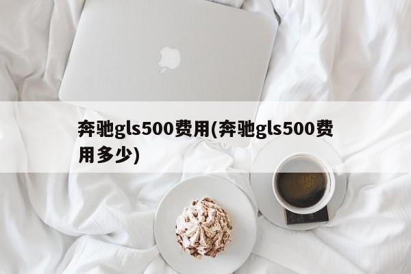 奔驰gls500费用(奔驰gls500费用多少)