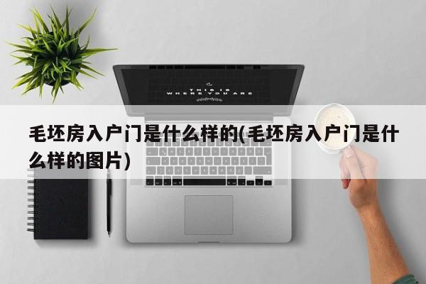 毛坯房入户门是什么样的(毛坯房入户门是什么样的图片)