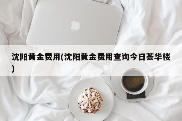沈阳黄金费用(沈阳黄金费用查询今日荟华楼)