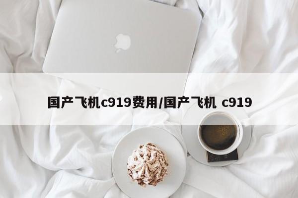 国产飞机c919费用/国产飞机 c919